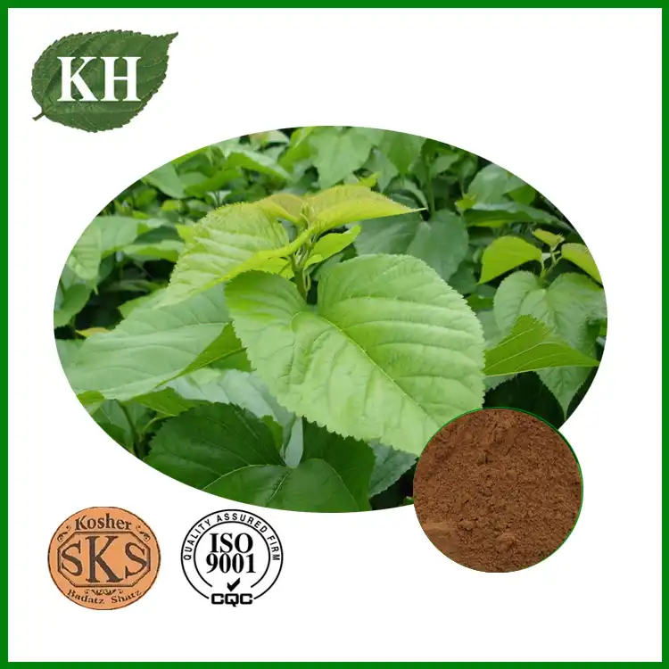 Mulberry Leaf Extract Powder for Advanced Blood Sugar Support
